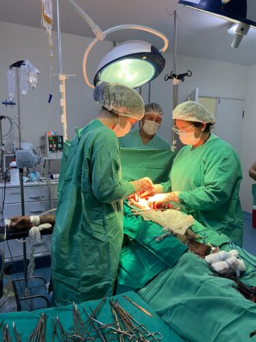Das 21 cirurgias realizadas no Hospital de Patos no plantão do final de semana, 16 foram de urgência.