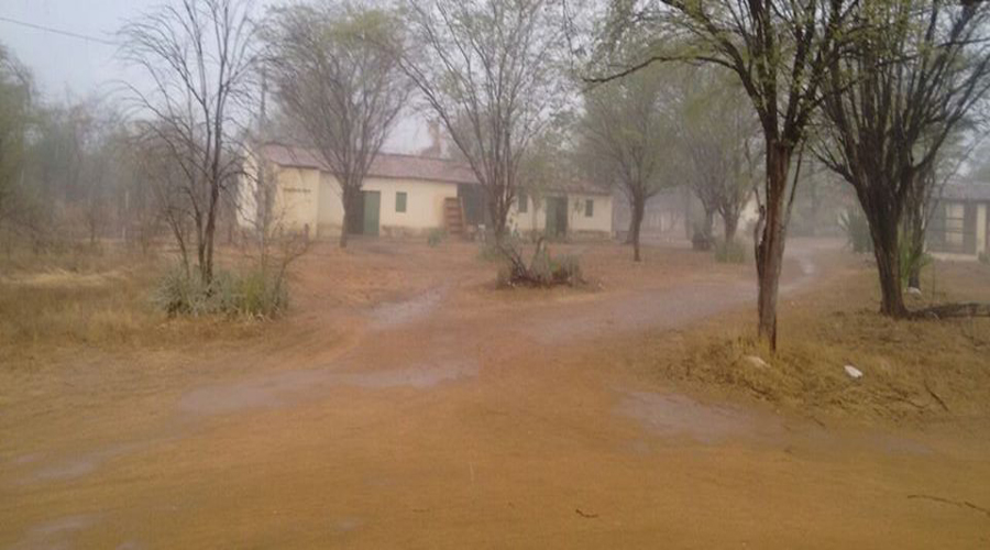 Chuva na verdes pastos