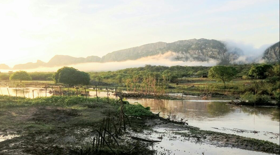 7e875223080e1a28a3d81ce7d428b605