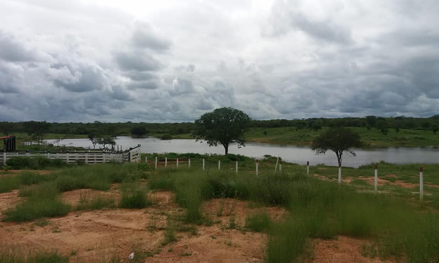 Chuva em Cajazeirinhas