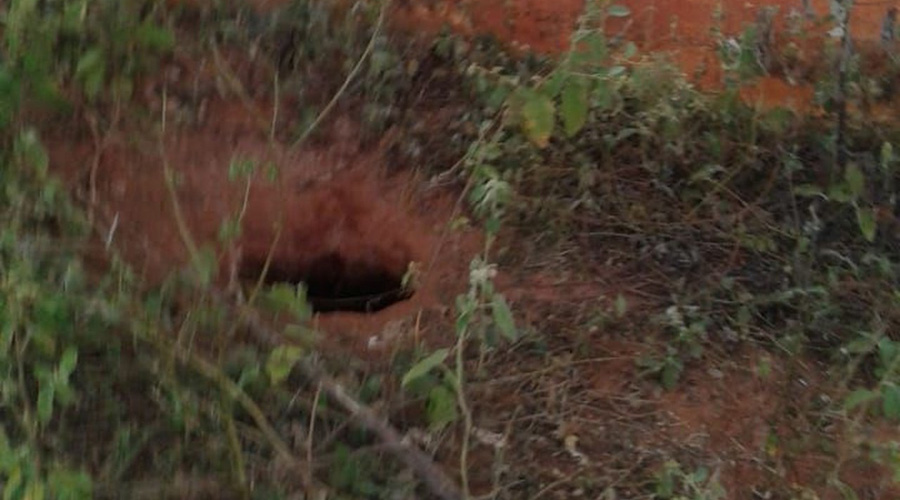 photo4994703007543306216