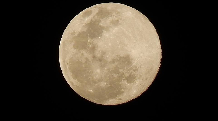 43751544_10205120590250957_651514665850896384_n