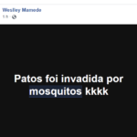 mosquitos 2