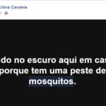 mosquitos 5