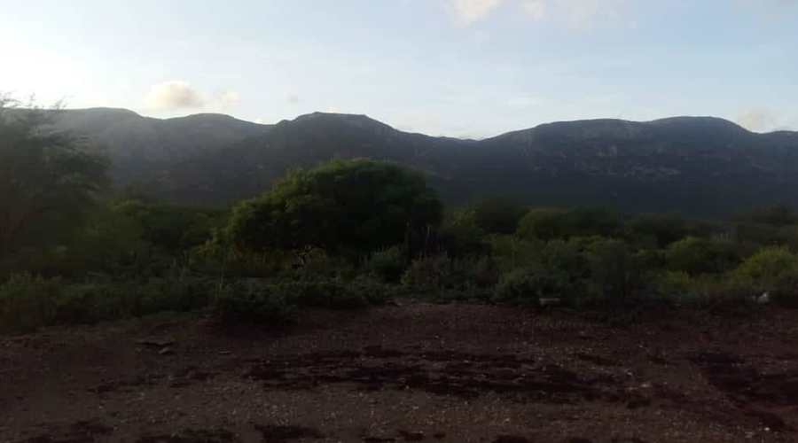 chuva em Cacimba de Areia