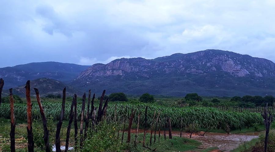 52461572_2047202818734134_3104399483920711680_n