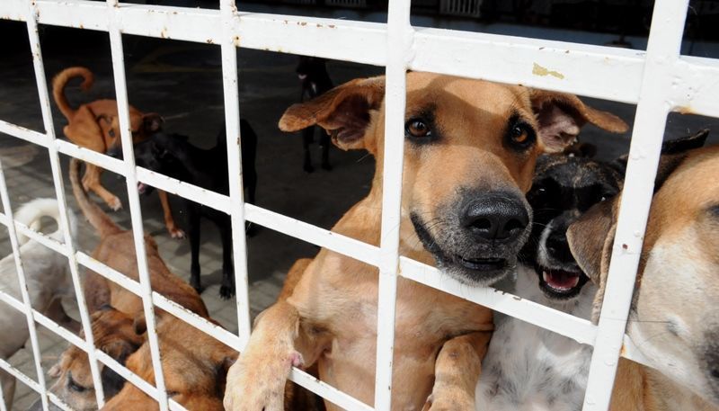 823c8ae94eac6ca4430baf3e14b7c833