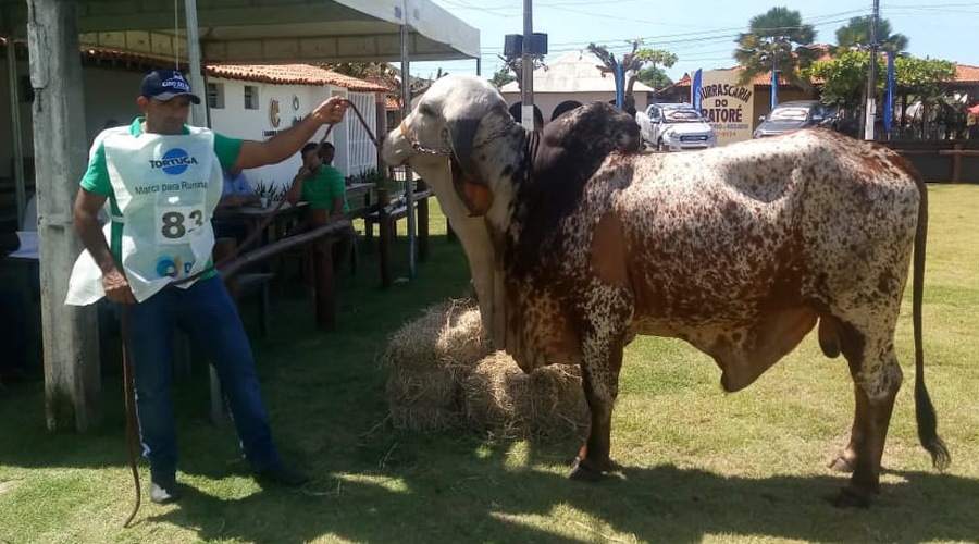 60279855_603104796765935_3170715857735122944_n