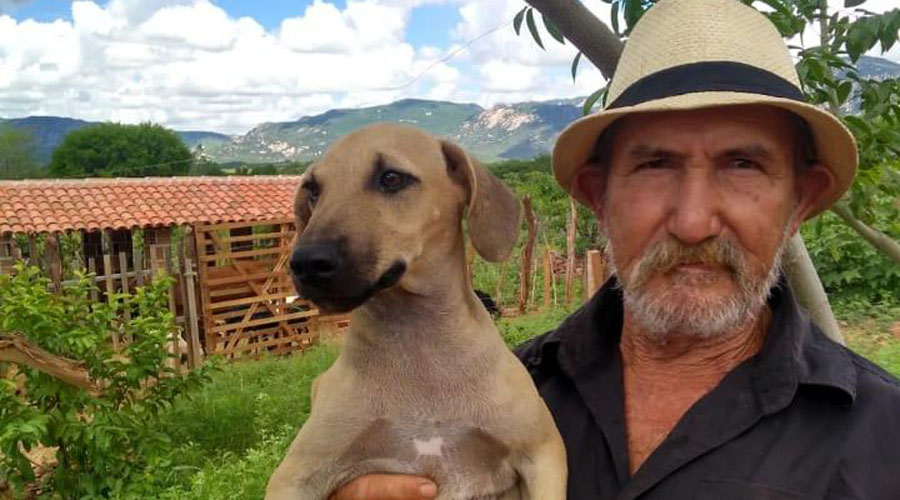 b41cb59f-31b4-49e0-8523-78172e7cc8e9