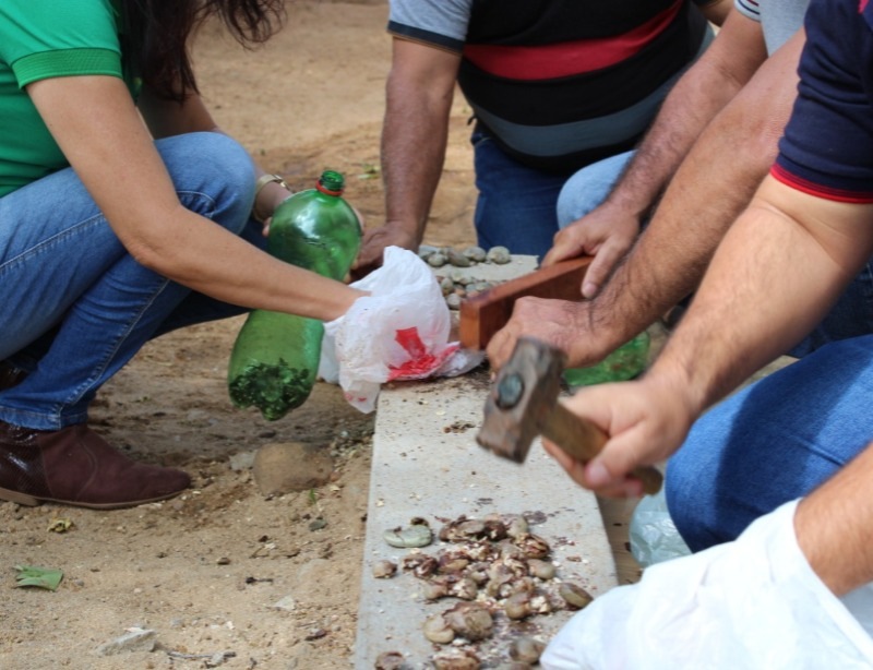 Prefeitura de Quixaba e parceiros promovem oficina de defensivos agrícolas naturais