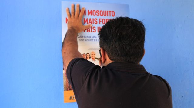 Aedes
