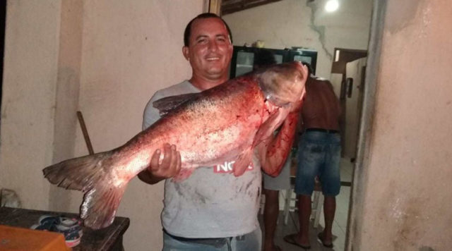 reginaldo-peixe (1)