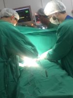 Em 2019 foram realizadas 3.616 cirugias