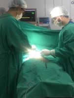 Em 2019 foram realizadas 3.616 cirurgias no Complexo de Patos
