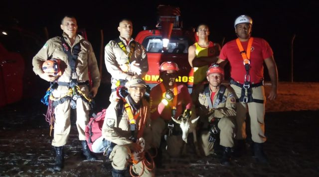 bombeiros-e-cabra