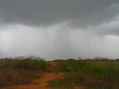 Chove em cerca de 130 municípios da Paraíba de ontem para hoje; veja os índices oficiais