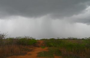 Muita chuva: chove em cerca de 90 municípios da Paraíba de ontem para hoje; veja os índices oficiais