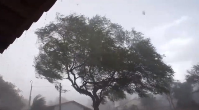 chuva