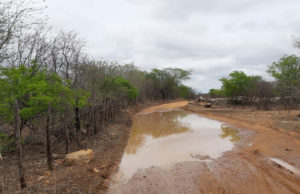 Muita chuva em todo o Vale do Piancó