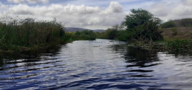 águas