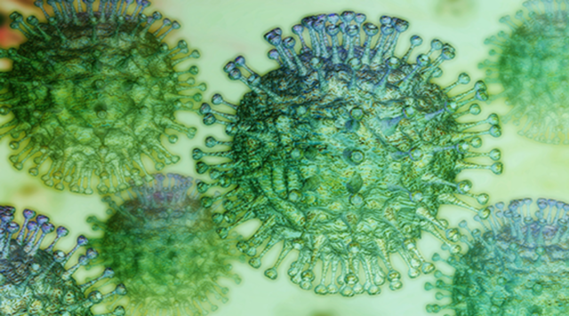 Coronaviruses_H