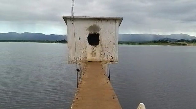 Jatobá