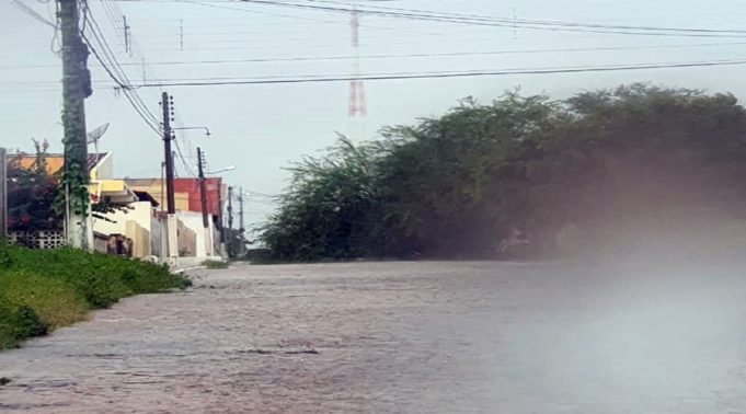 arvore-caida-em-santa-luzia