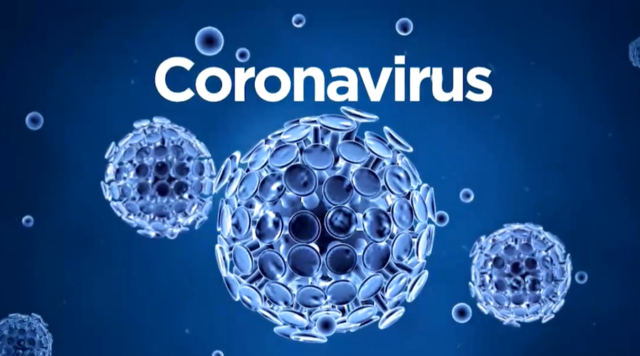 coronavirus-reproducao