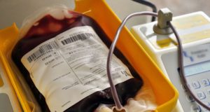 Hemocentro da Paraíba realiza Semana do Doador de Sangue com programação especial