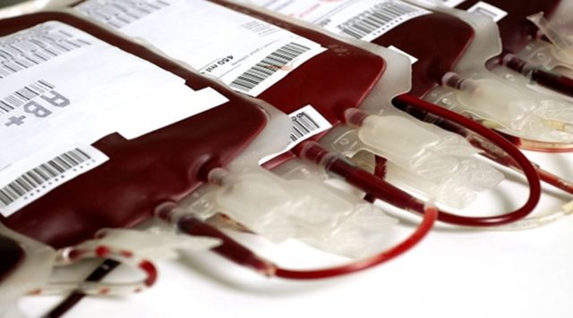 sangue