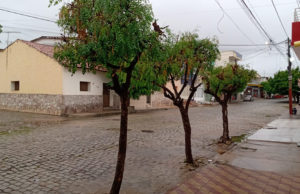 Boas chuvas são registradas em Pombal e região