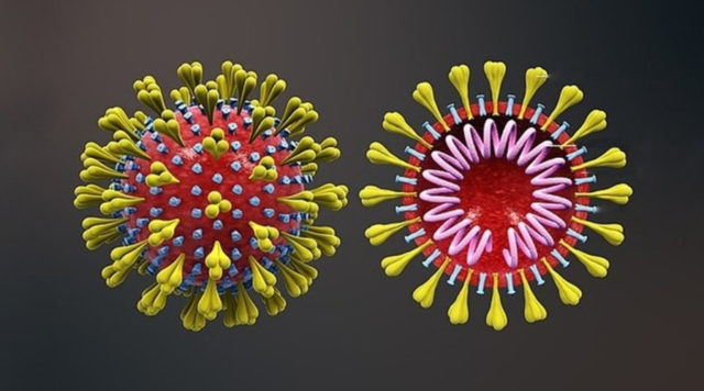 coronavirus-sarscov2