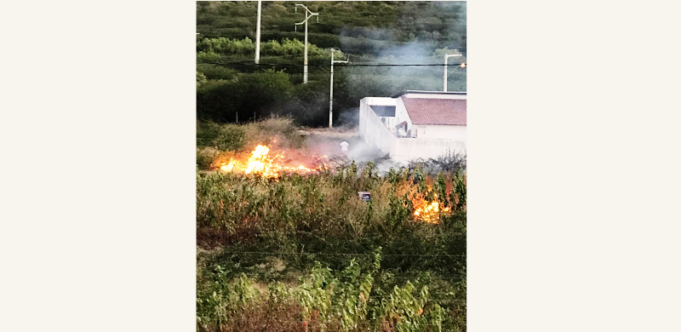 Fogo-no-mato-2