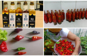 Molho de pimenta produzido por reeducandos da Paraíba entre os finalistas do Prêmio Innovare