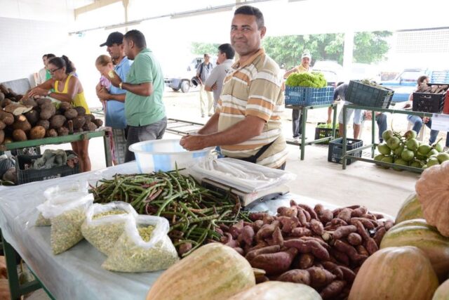 prefeitura-realiza-feira-no-cecaf-em-comemoracao-ao-dia-do-agricultor