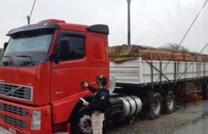 Duas carretas com madeira de extração ilegal são apreendidas em dois municípios da PB
