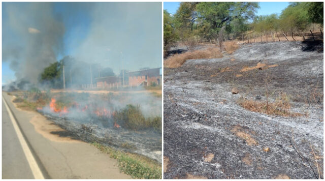 incendio_em_janduis