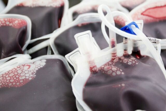 sangue