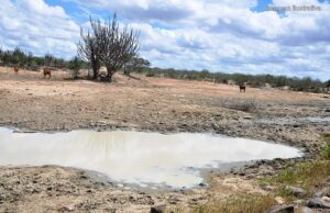 Vale do Piancó pode registrar umidade relativa do ar igual ao de desertos