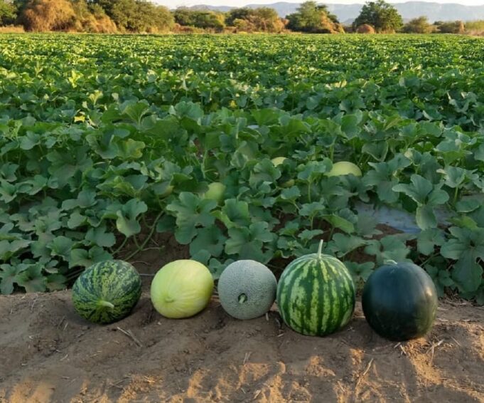 122397395_3561278477296560_8087346523628521921_o