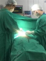 O Complexo ja realizou alguns procedimentos eletivos e retomara cirurgias apos as eleicoes