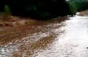 Chove bastante na região de Catingueira e riachos começam a correr em direção aos mananciais. Vídeos