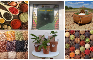 Loja de produtos orgânicos e plantas ornamentais será inaugurada na segunda-feira, em Patos