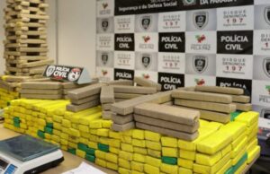 Polícia Civil apreende meia tonelada de maconha e prende mulher que guardava a droga em casa, na Paraíba