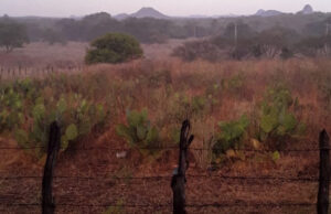 Chove na zona rural de Patos na tarde desta quarta-feira