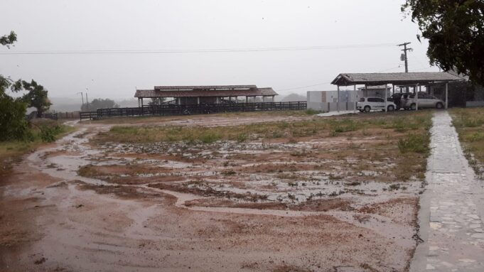 WhatsApp Image 2020-12-17 at 16.04.33