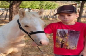 Morte de adolescente por doença rara reitera importância da implantação do teste do pezinho ampliado na rede de saúde da PB