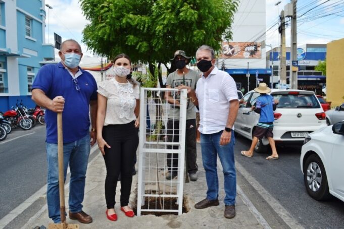 6012d2d14e6e6_arborizacao