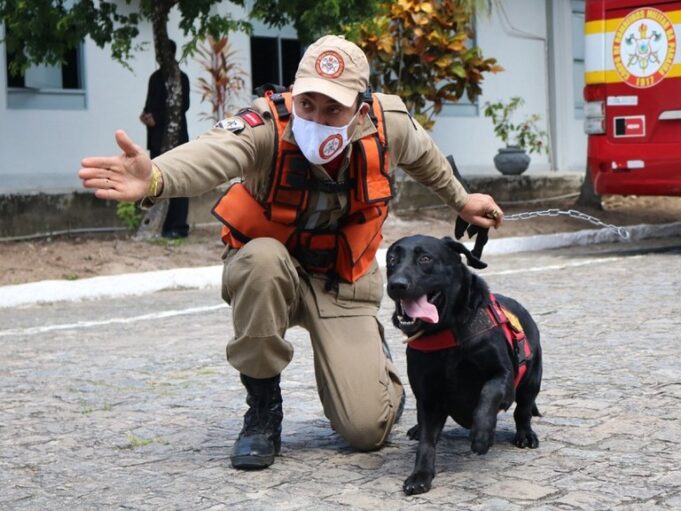 8d56e343-3b3c-42e7-a148-4cc30684abb5