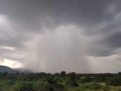 Chove em mais de 40 municípios da Paraíba de ontem para hoje; veja os índices oficiais